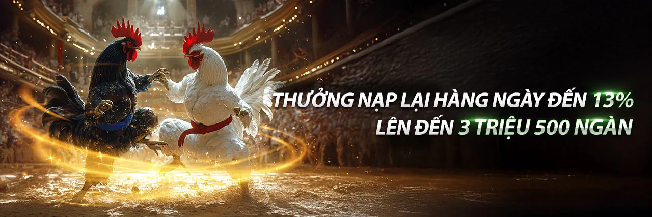 Hình ảnh chính về an toàn và công bằng của m66 casino